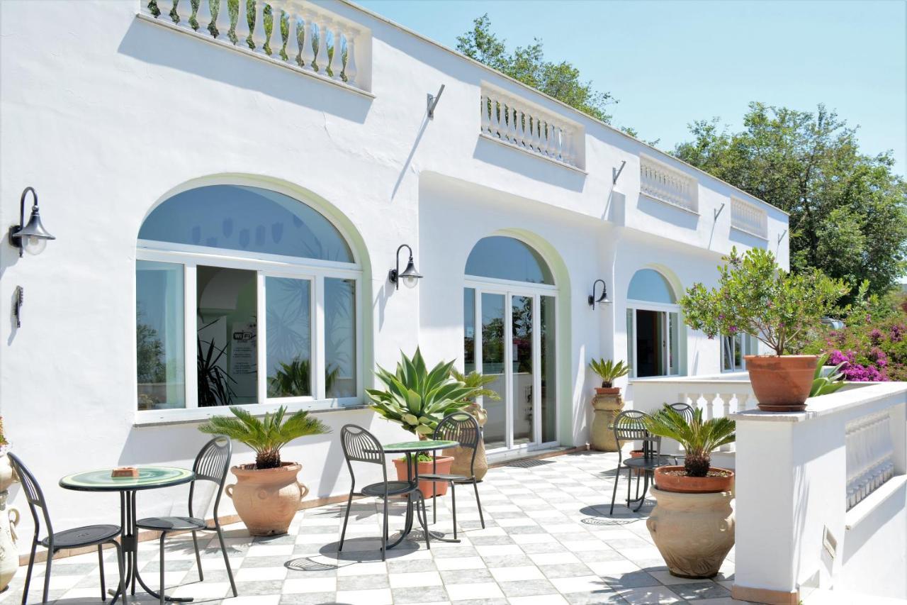 Hotel La Ginestra Forio di Ischia Dış mekan fotoğraf