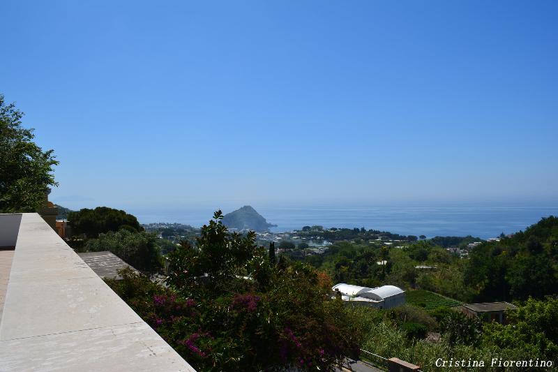 Hotel La Ginestra Forio di Ischia Dış mekan fotoğraf